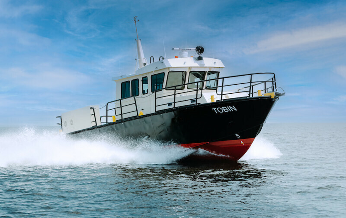 House & Office Container